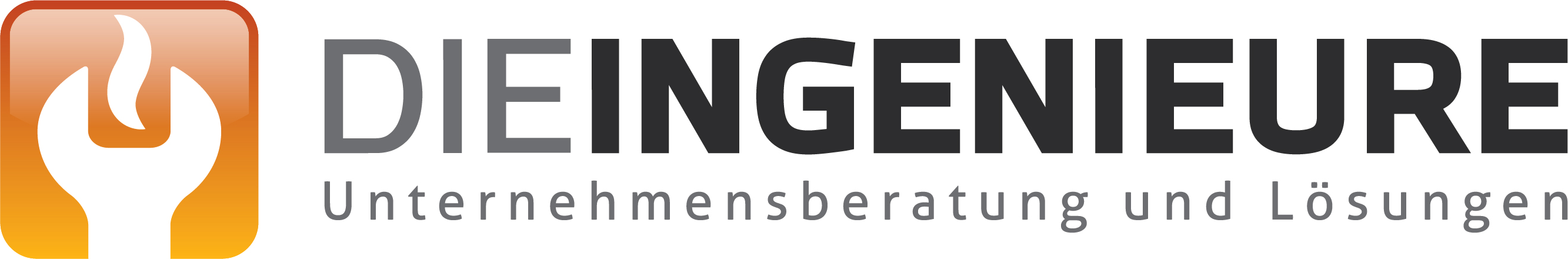 dieIngenieure Unternehmensberatung und Lösungen